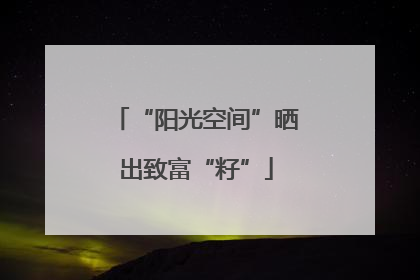 “阳光空间”晒出致富“籽”